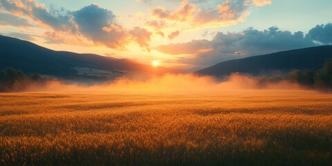 Fototapeta premium Golden Sunset Over Wheat Field with Fog and Mountains