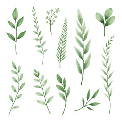 The image shows collections of plants. They are made in the same style, differ in simple lines and monochrome colors. The color palette includes shades of green with a yellowish-green base.