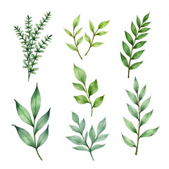 The image shows collections of plants. They are made in the same style, differ in simple lines and monochrome colors. The color palette includes shades of green with a yellowish-green base.