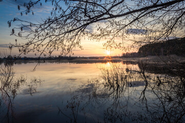 Beautiful sunset over a lake with a tree branch in the foreground