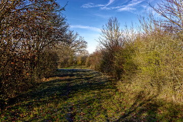 Fototapeta premium cold winter sunny morning in Bovaria