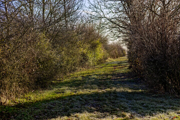 cold winter sunny morning in Bovaria