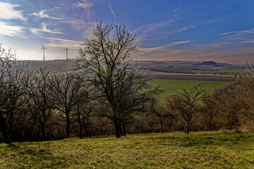 cold winter sunny morning in Bovaria