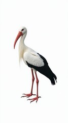 Fototapeta premium Stork Standing on a White Background Showcasing Its Distinct Colors and Features. Generative AI