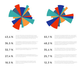 Two vibrant pie charts illustrate market share distribution, accompanied by percentages and descriptive text, providing a clear visual representation of data analysis