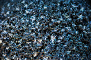 Detail of rough black volcanic rock on a beach in Maui