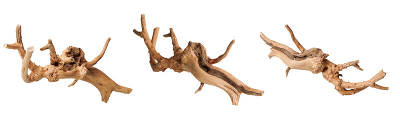 Naklejka premium set old dry driftwood tree branch on an isolated white background close-up