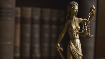 Obraz premium statue in the library