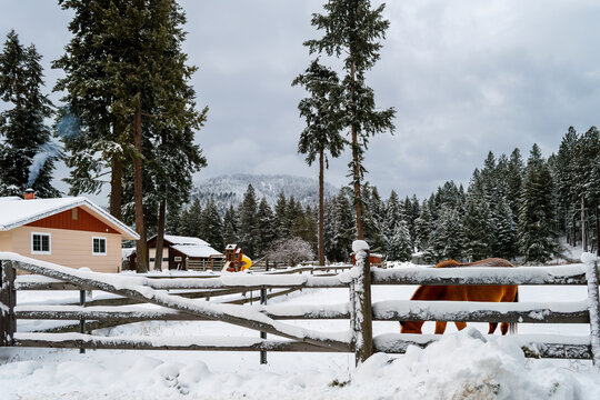 A small ranch home with barn and horse in a corral on a snow covered winter day in Coeur d'Alene, Idaho, in the North Idaho panhandle region.
