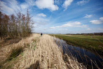A person walks through tall, dried grasses beside a narrow canal.  Sunny, partly cloudy sky overhead.  Wind turbines are visible in the distance.