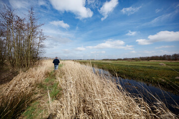 A person walks along a grassy path beside a ditch.  Sunny day,  windy,  with dry grasses and  green...