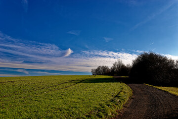 cold winter sunny morning in Bovaria
