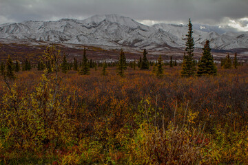 Fototapeta premium autumn in the mountains