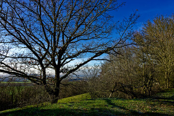 Obraz premium cold winter sunny morning in Bovaria