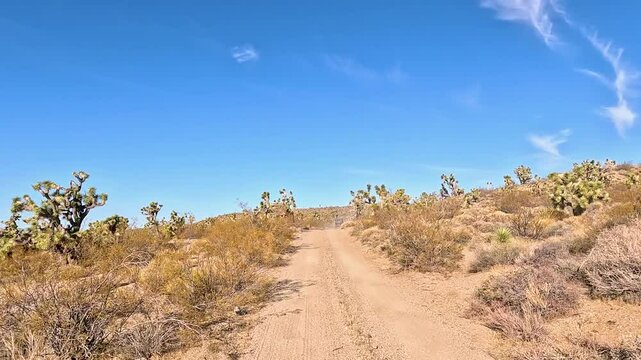 Desert trail Joshua trees Nevada desert POV. Off road trail riding in 4x4 all terrain vehicle for sport and recreation. Nevada Utah Arizona border near Mesquite. Dry arid landscape. Desert.