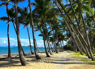 Beach of Cairns. Scenic View of Cairns, Australia: Tropical Coastline and Lush Mountains