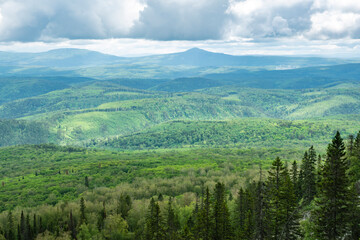 heavy summer rain and fog in the taiga
