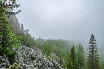 heavy summer rain and fog in the taiga
