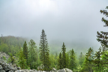 heavy summer rain and fog in the taiga