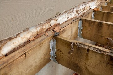 Deck Ledger Board Incorrectly Installed over Wood Siding has led to Extensive Dry Rot and Damage