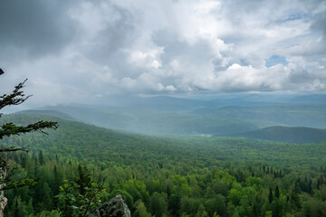 heavy summer rain and fog in the taiga