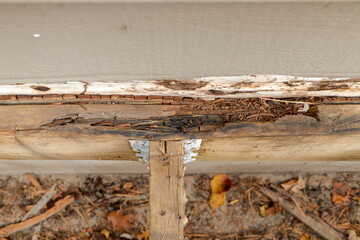 Deck Ledger Board Incorrectly Installed over Wood Siding has led to Extensive Dry Rot and Damage