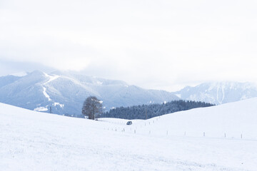 Obraz premium Winterlandschaft in Oberbayern, Ammergauer Alpen Hörndle, mit Wald, Berg
