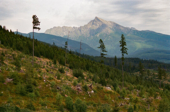 Krivan mountain in Slovakia