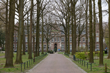 Obraz premium Parkway lined with trees leads to a large brick building. A paved walkway runs through the park.