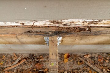 Deck Ledger Board Incorrectly Installed over Wood Siding has led to Extensive Dry Rot and Damage