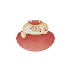 Cute bear