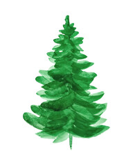 A vibrant green fir tree is depicted in watercolor style with layered and textured foliage.