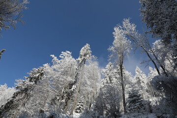 A winter landscape near Montreux, Switzerland
