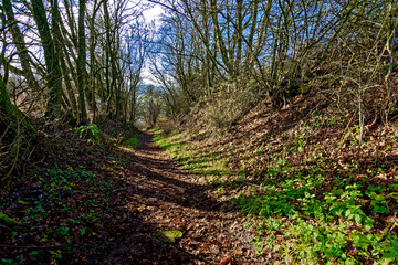 cold winter sunny morning in Bovaria