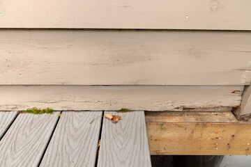Wood Siding on House shows peeling and cracked painting and early signs of decay and rot