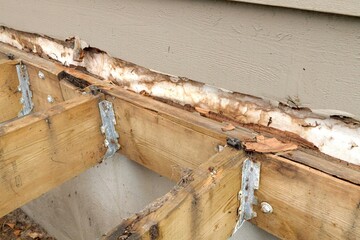 Deck Ledger Board Incorrectly Installed over Wood Siding has led to Extensive Dry Rot and Damage