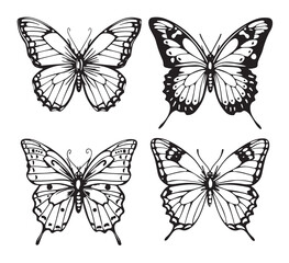 Beautiful butterfly set sketch hand drawn