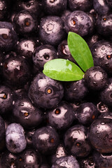 Wet acai berries and leaves as background, top view