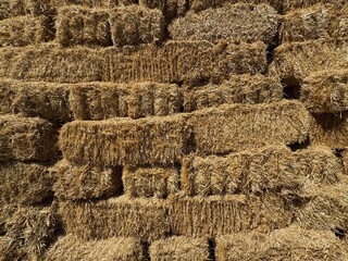 Close-up detail of straw bale. Selective focus. Forage, barley and crop bales stacked in the field. Rectangular wheat stacks in the field. Wrapped straw bales in the field after harvest. Hay bale.
