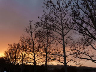 Bare trees silhouette against a colorful sunset, with hues of orange and purple filling the sky. The scene captures the serene beauty of nature at twilight.