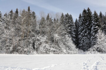 Snow landscape located in Pléiades, near Vevey, Switzerland