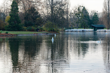 Reflections on the tranquil waters of Bois de Vincennes park in Paris during a peaceful afternoon