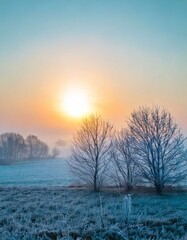 winter sunrise landscape