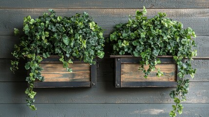 Vintage-style garden wall planters with succulents rustic wooden ornaments outdoor greenery natural beauty