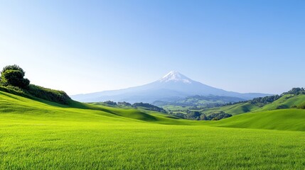 Fototapeta premium Scenic view of rolling green hills with a mountain backdrop.