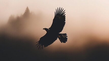 Fototapeta premium Majestic eagle in flight, silhouetted against a misty forest backdrop at dawn.