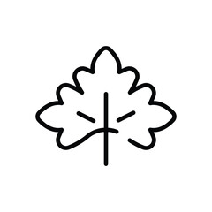 Cilantro vector icon