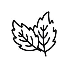 Obraz premium Mint vector icon