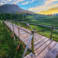 Fototapeta premium bridge over the river