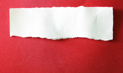 rip paper background with space